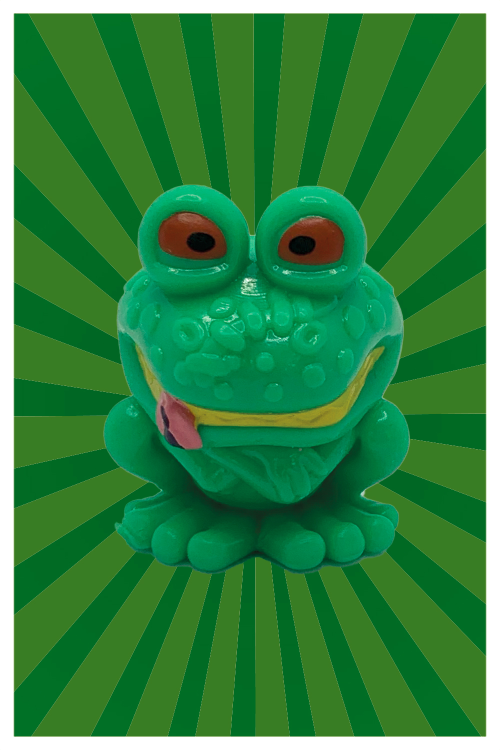 Gotcha Toad (B15)Animal: Rana toro