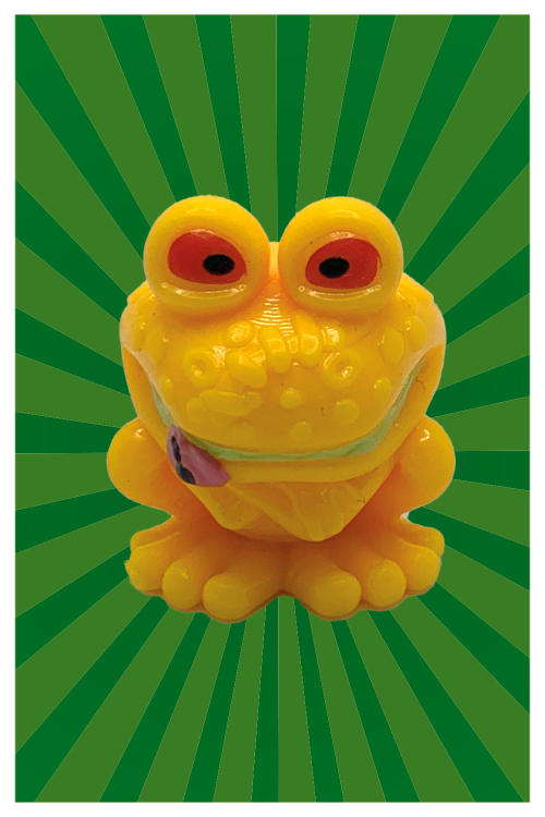 Gotcha Toad (B16)Animal: Rana toro