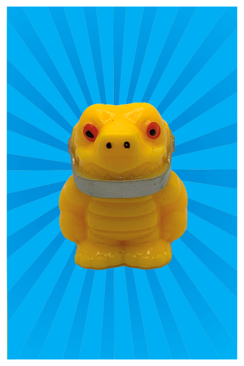 El Escudo (B42)Animal: Tortuga