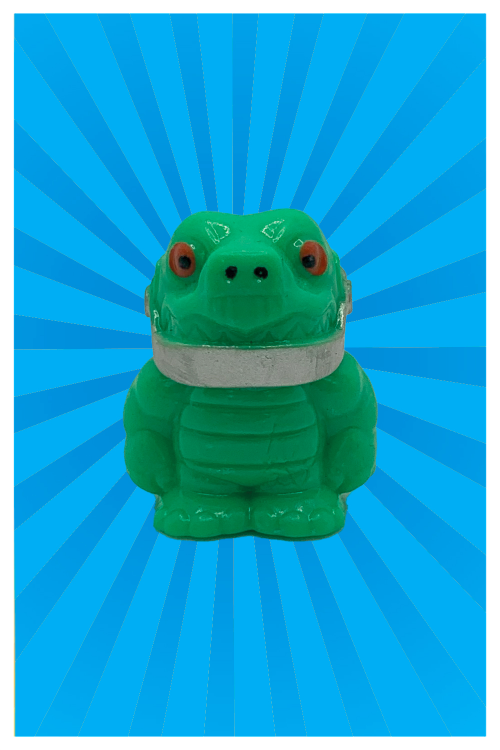 El Escudo (B41)Animal: Tortuga